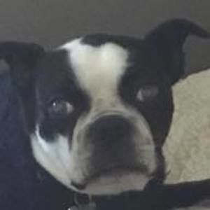 Meet your Posher, Jack